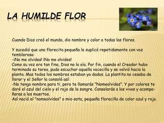 Cuando Dios creó el mundo, dio nombre y color a todas las flores.
Y sucedió que una florecita pequeña le suplicó repetidamente con voz
temblorosa:
-iNo me olvides! ¡No me olvides!
Como su voz era tan fina, Dios no la oía. Por fin, cuando el Creador hubo
terminado su tarea, pudo escuchar aquella vocecilla y se volvió hacia la
planta. Mas todos los nombres estaban ya dados. La plantita no cesaba de
llorar y el Señor la consoló así:
-No tengo nombre para ti, pero te llamarás "Nomeolvides". Y por colores te
daré el azul del cielo y el rojo de la sangre. Consolarás a los vivos y acompa-
ñaras a los muertos.
Así nació el "nomeolvides" o mio-sota, pequeña florecilla de color azul y rojo.
LA HUMILDE FLOR
 