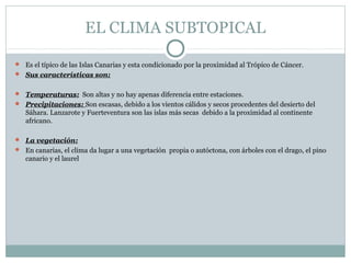 EL CLIMA SUBTOPICAL
 Es el típico de las Islas Canarias y esta condicionado por la proximidad al Trópico de Cáncer.
 Sus características son:
 Temperaturas: Son altas y no hay apenas diferencia entre estaciones.
 Precipitaciones: Son escasas, debido a los vientos cálidos y secos procedentes del desierto del
Sáhara. Lanzarote y Fuerteventura son las islas más secas debido a la proximidad al continente
africano.
 La vegetación:
 En canarias, el clima da lugar a una vegetación propia o autóctona, con árboles con el drago, el pino
canario y el laurel
 