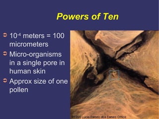 Powers of Ten
➲ 10-4 meters = 100
  micrometers
➲ Micro-organisms
  in a single pore in
  human skin
➲ Approx size of one
...