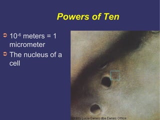 Powers of Ten
➲ 10-6 meters = 1
  micrometer
➲ The nucleus of a
  cell
 