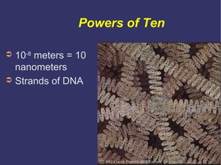 Powers of Ten

➲ 10-8 meters = 10
  nanometers
➲ Strands of DNA
 