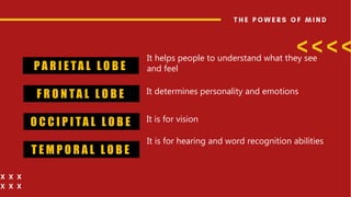 P A R I E TA L L O B E
F R O N TA L L O B E
O C C I P I TA L L O B E
T E M P O R A L L O B E
It helps people to understand what they see
and feel
It determines personality and emotions
It is for vision
It is for hearing and word recognition abilities
 