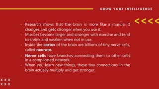 - Research shows that the brain is more like a muscle. It
changes and gets stronger when you use it.
- Muscles become larger and stronger with exercise and tend
to shrink and weaken when not in use.
- Inside the cortex of the brain are billions of tiny nerve cells,
called neurons
- Nerve cells have branches connecting them to other cells
in a complicated network.
- When you learn new things, these tiny connections in the
brain actually multiply and get stronger.
 