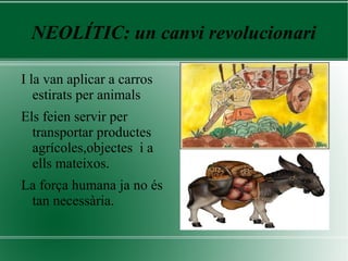 NEOLÍTIC: un canvi revolucionari
I la van aplicar a carros
estirats per animals
Els feien servir per
transportar productes
agrícoles,objectes i a
ells mateixos.
La força humana ja no és
tan necessària.
 