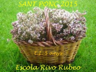 SANT PONÇ 2015
E.I. 5 anys
Escola Rivo Rubeo
 