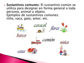    Sustantivos comunes: El sustantivo común se
    utiliza para designar en forma general a toda
    persona, animal u objeto.
    Ejemplos de sustantivos comunes:
    niño, vaca, gato, amor, etc.
 