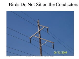3/5/2007 459 Chapter 4 Transmission lines and cables 79
Birds Do Not Sit on the Conductors
 