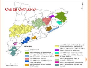 CAS DE CATALUNYA 
 