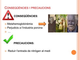 CONSEQÜÈNCIES I PRECAUCIONS 
 CONSEQÜÈNCIES: 
 Metahemoglobinèmia 
 Perjudicis a l’industria porcina 
 … 
PRECAUCIONS: 
 Reduir l’entrada de nitrògen al medi 
 