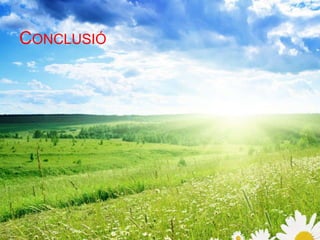 CONCLUSIÓ 
 