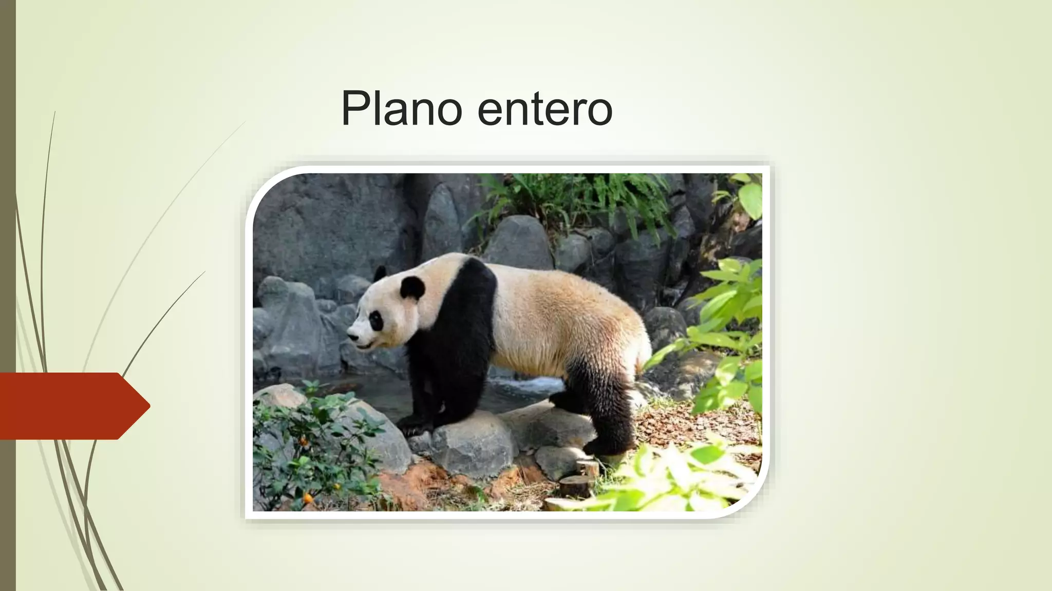 Plano entero