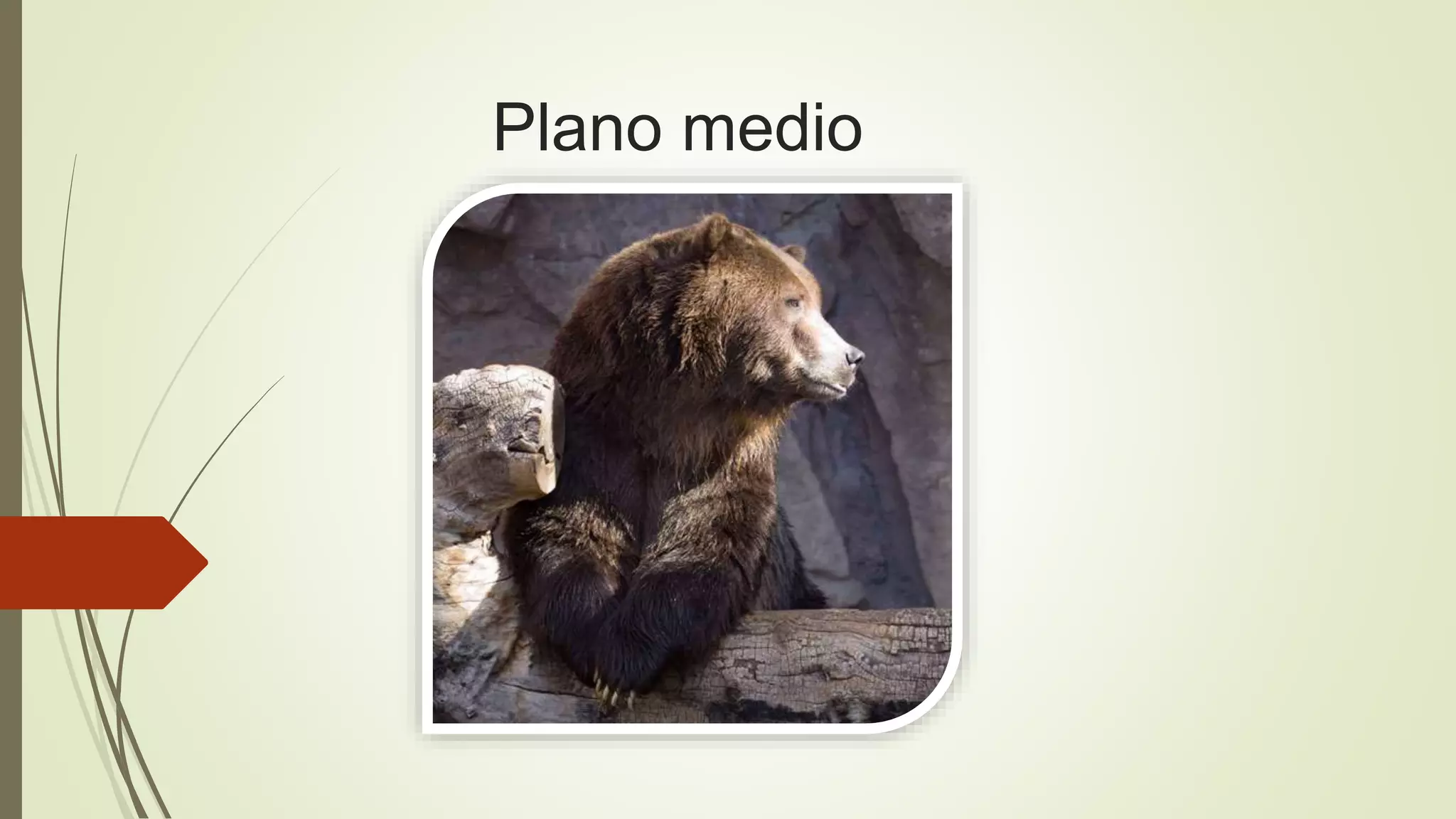 Plano medio