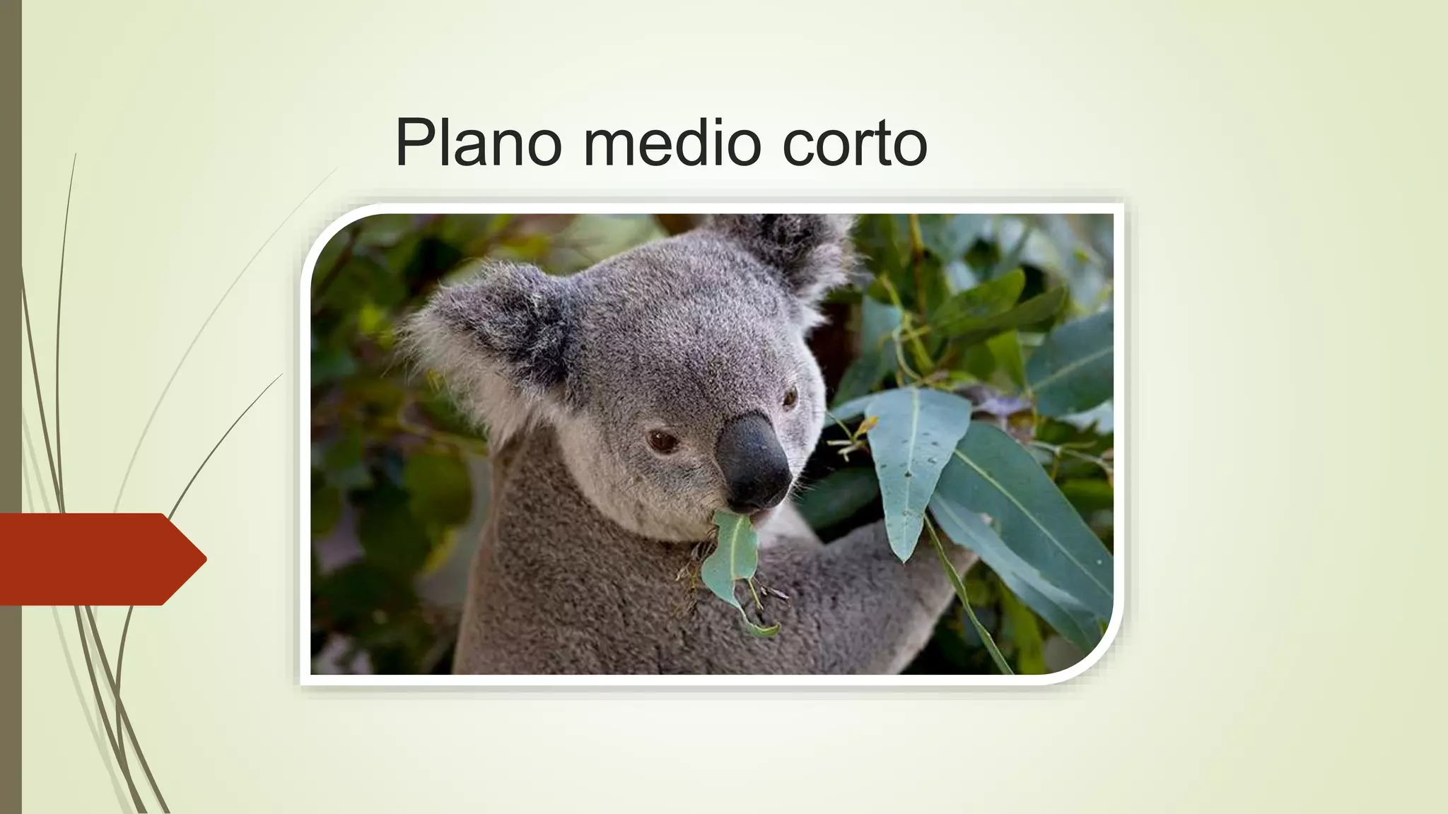 Plano medio corto