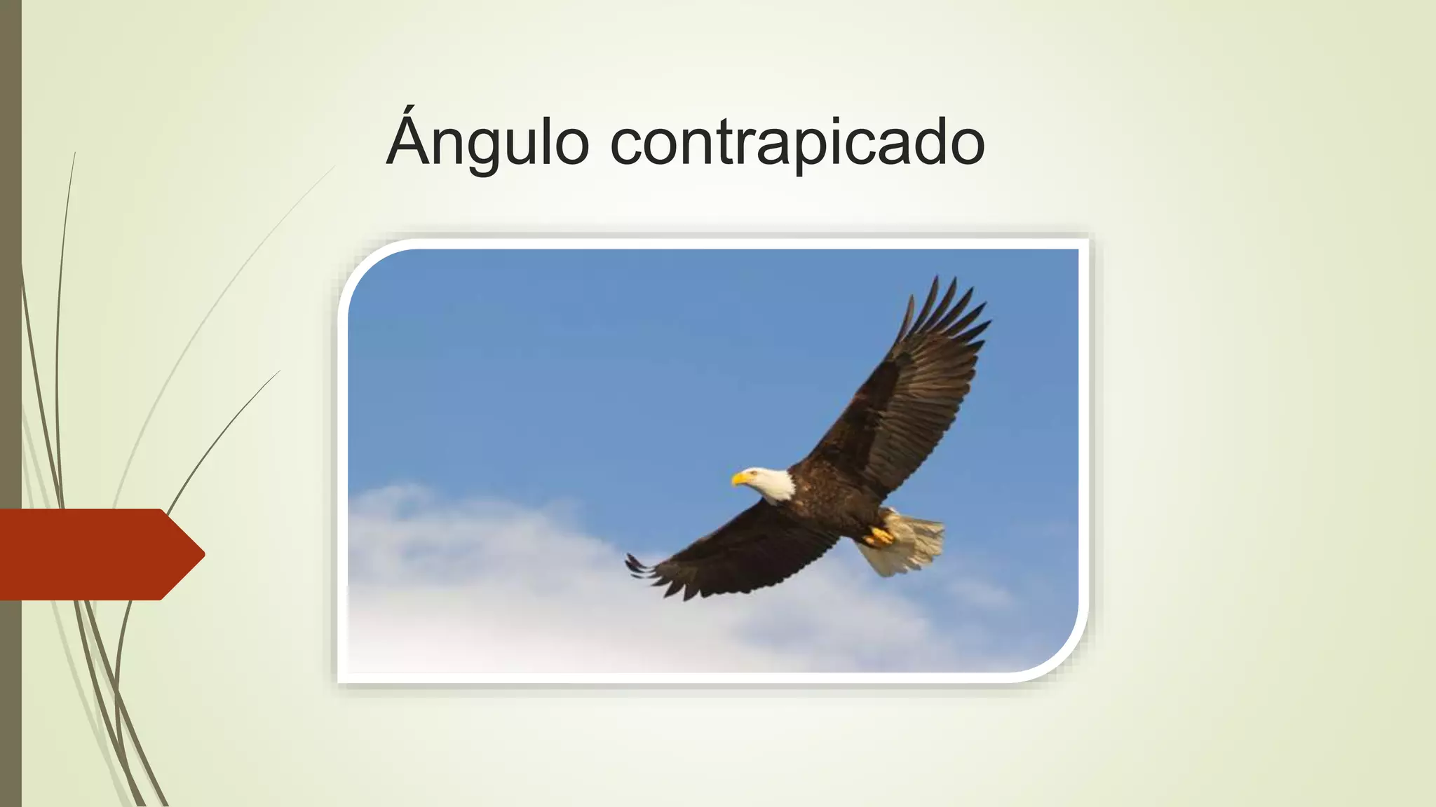 Ángulo contrapicado