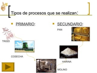 Tipos de procesos que se realizan:
 PRIMARIO:

COSECHA
 SECUNDARIO:
PAN
HARINA
TRIGO
MOLINO
 