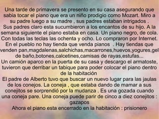 Una tarde de primavera se presento en su casa asegurando que
  sabia tocar el piano que era un niño prodigio como Mozart. Miro a
     su padre luego a su madre , sus padres estaban intrigados .
  Sus padres claro esta sucumbieron a los encantos de su hijo. A la
semana siguiente el piano estaba en casa. Un piano negro, de cola.
Con todas las teclas las ochenta y ocho. Lo compraron por Internet.
   En el pueblo no hay tienda que venda pianos . Hay tiendas que
venden pan,magdalenas,salchichas,macarrones,huevos,yogures,gel
        de baño,botones,calcetines,camisas de rayas,estufas...
Un camión aparco en la puerta de su casa y descargo el armatoste,
 tuvieron que derribar un tabique para poder colocar el piano dentro
                           de la habitación
 El padre de Alberto tuvo que buscar un nuevo lugar para las jaulas
    de los conejos. La coneja , que estaba dando de mamar a sus
   conejitos se sorprendió por la mudanza . Es una gozada cuando
 una coneja pare. Una coneja puede parir de cinco a diez conejitos :
                               gazapos
      Ahora el piano esta encerrado en la habitación : prisionero
 