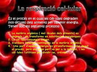 És el procés en el qual les cèl·lules degraden
mol·lècules dels aliments per obtenir energia.
Tenen lloc els següents prcessos:
1. La matèria orgànica ( mol·lècules dels aliments) es
degrada i es transforma en substàncies inorgàniques.
2. La cèl·lula consumeix oxigen.
3. S’allibera l’energia continguda en la matèria orgànica.
4. Una part d’aquesta energia es gtransformaen calor degut
al procés, però una gran part va per a la nutrició, i les
cèl·lules l’utilitzen per dividir-se, créixer,...
 
