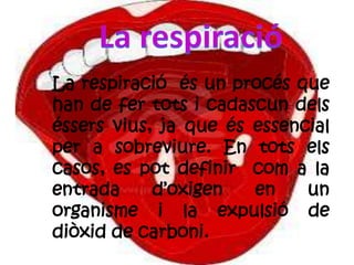 La respiració és un procés que
han de fer tots i cadascun dels
éssers vius, ja que és essencial
per a sobreviure. En tots els
casos, es pot definir com a la
entrada d’oxigen en un
organisme i la expulsió de
diòxid de carboni.
 