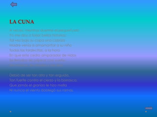 LA CUNA
A veces, mientras duerme el pequeñuelo
Yo me doy a forjar bellas historias:
Tal vez bajo su copa una cobriza
Madre venía a amamantar a su niño
Todas las tardecitas, a la hora
En que este cedro amparador de nidos
Se llenaba de pájaros con sueño,
De música, de arrullos y de píos.
Debió de ser tan alto y tan erguido,
Tan fuerte contra el cierzo y la borrasca,
Que jamás el granizo le hizo mella
Ni nunca el viento doblegó sus ramas.
 