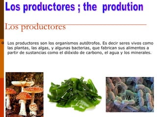 Los productores  <ul><li>Los productores son los organismos autótrofos. Es decir seres vivos como las plantas, las algas, ...