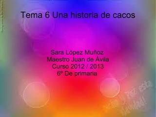 Tema 6 Una historia de cacos



       Sara López Muñoz
      Maestro Juan de Ávila
       Curso 2012 / 2013
         6º De primaria
 