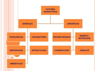 FACTORES
MADURATIVOS
GENERALES
FISIOLÓGICOS PSICOMOTORES
EMOCIONALES INTELECTUALES
AMBIENTALES
ESPECÍFICOS
PSICOMOTRICIDAD
PERCEPTO-
MOTRICIDAD
COORDINACIÓN LENGUAJE
 