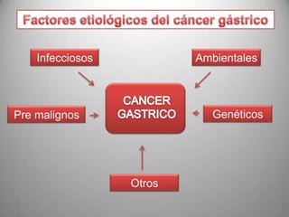 Infecciosos

Ambientales

Genéticos

Pre malignos

Otros

 