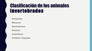 Clasificación de los animales
invertebrados
•
Artrópodos
•
Moluscos
•
Equinodermos
•
Gusanos
•
Celentéreos
•
Poríferos / Esponjas
 