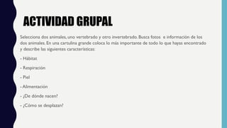 ACTIVIDAD GRUPAL
Selecciona dos animales, uno vertebrado y otro invertebrado. Busca fotos e información de los
dos animales. En una cartulina grande coloca lo más importante de todo lo que hayas encontrado
y describe las siguientes características:
- Hábitat
- Respiración  
- Piel
- Alimentación    
- ¿De dónde nacen?
- ¿Cómo se desplazan?
 