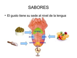 SABORES ,[object Object]