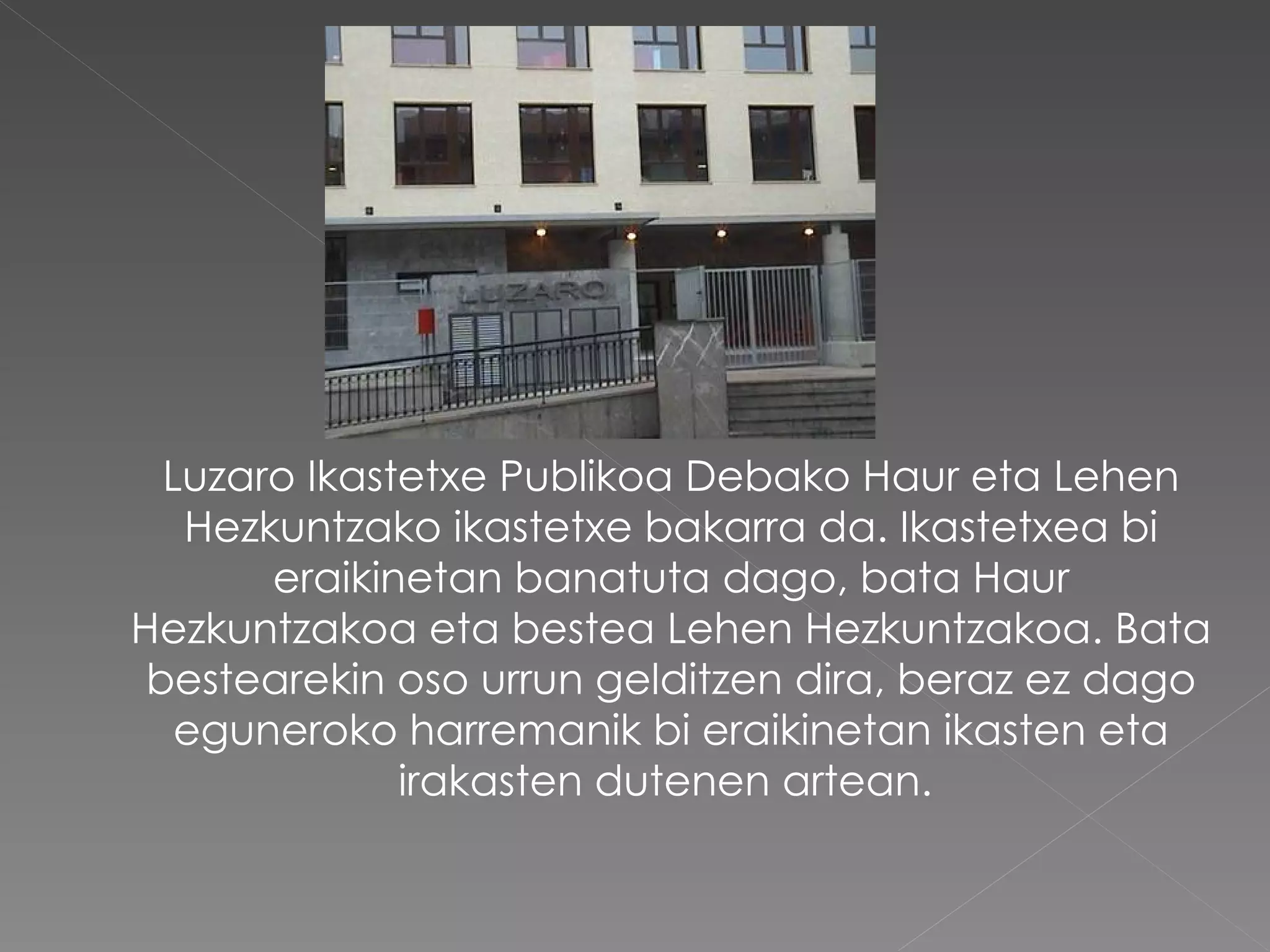 Luzaro Ikastetxe Publikoa Debako Haur eta Lehen Hezkuntzako ikastetxe bakarra da. Ikastetxea bi eraikinetan banatuta dago, bata Haur Hezkuntzakoa eta bestea Lehen Hezkuntzakoa. Bata bestearekin oso urrun gelditzen dira, beraz ez dago eguneroko harremanik bi eraikinetan ikasten eta irakasten dutenen artean.   