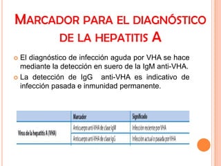 MARCADOR PARA EL DIAGNÓSTICO
DE LA HEPATITIS A
El diagnóstico de infección aguda por VHA se hace
mediante la detección en suero de la IgM anti-VHA.
 La detección de IgG
anti-VHA es indicativo de
infección pasada e inmunidad permanente.


 