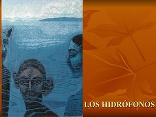 LOS HIDRÓFONOS
 