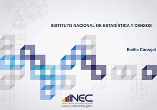 INSTITUTO NACIONAL DE ESTADÍSTICA Y CENSOS
Emilia Carvajal
 