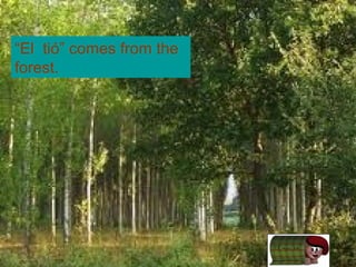 “El tió” comes from the
forest.
 