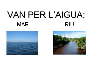 VAN PER L’AIGUA:
MAR RIU
 