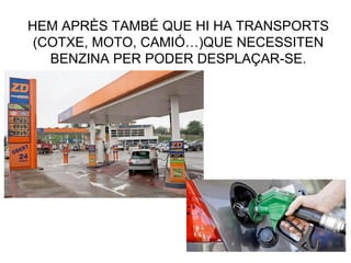 HEM APRÈS TAMBÉ QUE HI HA TRANSPORTS
(COTXE, MOTO, CAMIÓ…)QUE NECESSITEN
BENZINA PER PODER DESPLAÇAR-SE.
 
