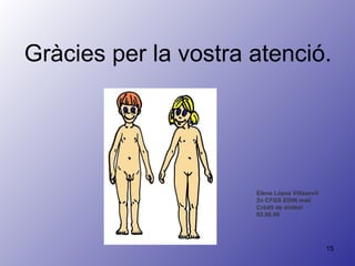 Elena López Villasevil 2n CFGS EDIN matí Crèdit de síntesi 02.06.09 Gràcies per la vostra atenció. 