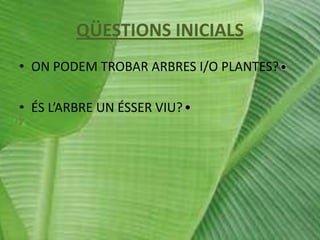 QÜESTIONS INICIALS
• ON PODEM TROBAR ARBRES I/O PLANTES?
• ÉS L’ARBRE UN ÉSSER VIU?

 