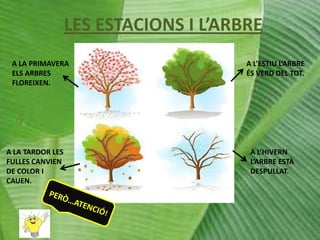 LES ESTACIONS I L’ARBRE
A LA PRIMAVERA
ELS ARBRES
FLOREIXEN.

A LA TARDOR LES
FULLES CANVIEN
DE COLOR I
CAUEN.

A L’ESTIU L’ARBRE
ÉS VERD DEL TOT.

A L’HIVERN
L’ARBRE ESTÀ
DESPULLAT.

 