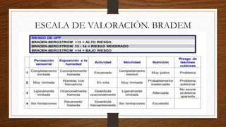 ESCALA DE VALORACIÓN. BRADEM
 