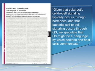 ―Given that eukaryotic
cell-to-cell signaling
typically occurs through
hormones, and that
bacterial cell-to-cell
signaling occurs through
QS, we speculate that
QS might be a ‗‗language‘‘
by which bacteria and host
cells communicate.‖
 