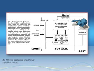 Am J Physiol Gastrointest Liver Physiol
280: G7–G13, 2001.
 