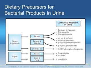 Dietary Precursors for
Bacterial Products in Urine




 Lord RS, Bralley JA, eds. Laboratory Evaluations for Integrative and Functional Medicine. Duluth, GA: Metametrix Institute; 2008.
 