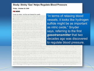 ―In terms of relaxing blood
vessels, it looks like hydrogen
sulfide might be as important
as nitric oxide,‖ Snyder
says, referring to the first
gasotransmitter that two
decades ago was discovered
to regulate blood pressure.
 