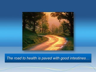 The road to health is paved with good intestines…
 