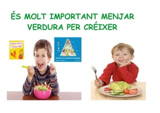 ÉS MOLT IMPORTANT MENJAR 
VERDURA PER CRÉIXER 
