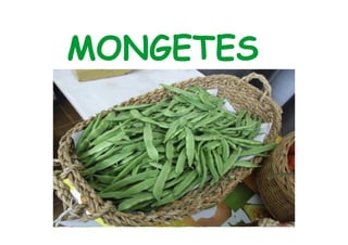 MONGETES 
 
