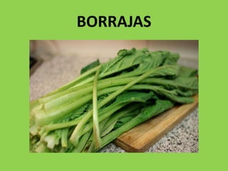 BORRAJAS
 