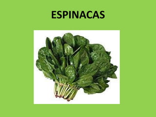 ESPINACAS
 